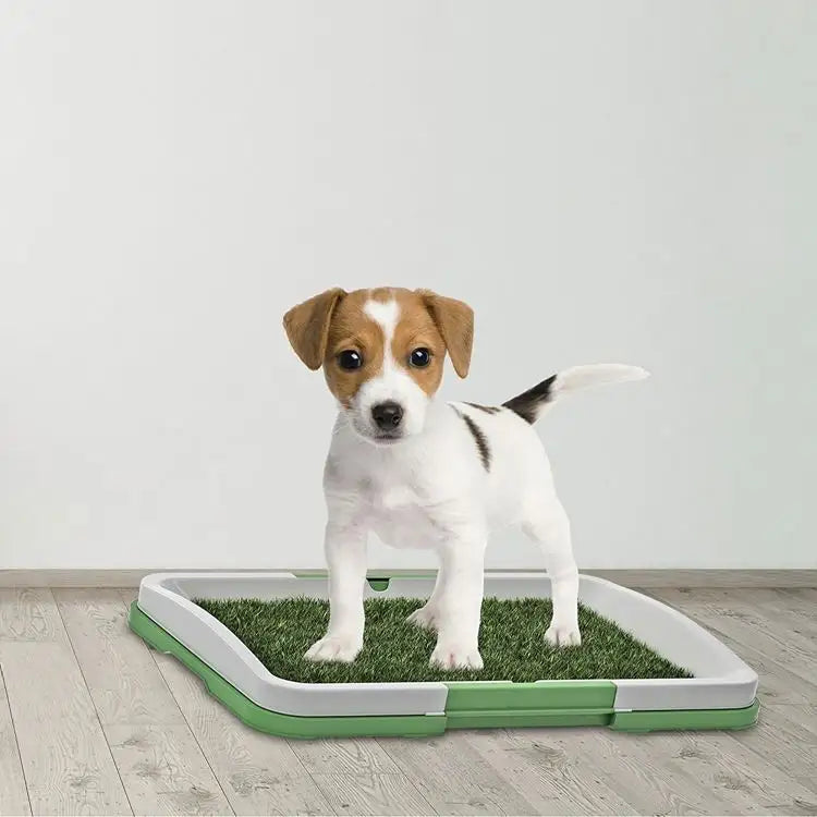 Toaleta cu iarbă artificială pentru animale