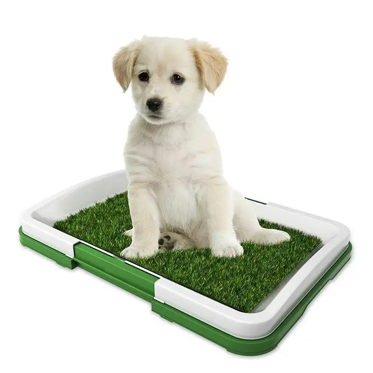Toaleta cu iarbă artificială pentru animale