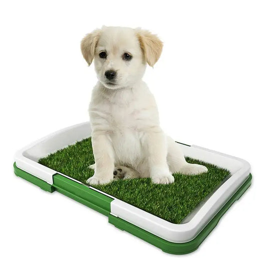 Toaleta cu iarbă artificială pentru animale
